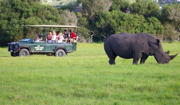 game drives Akagera National Park