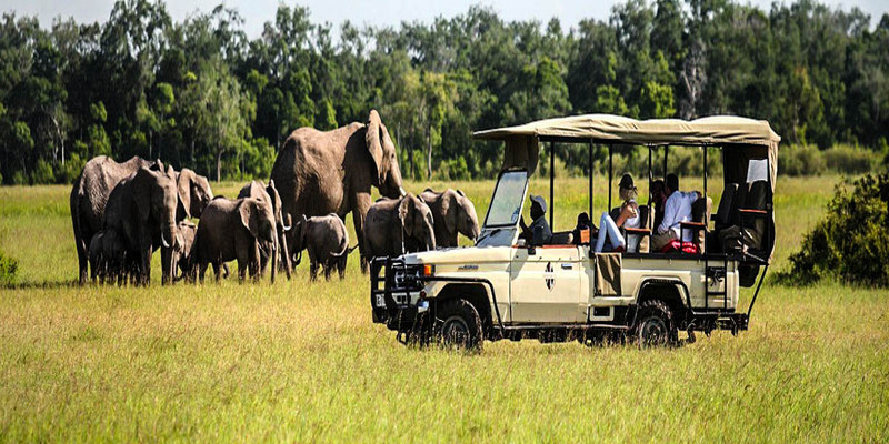 private tour in Rwanda