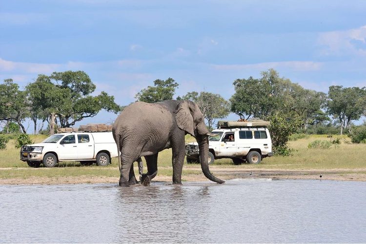 Self Drive Car Rental