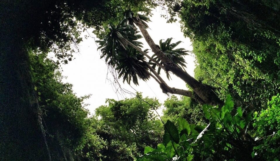 Musanze caves in Rwanda